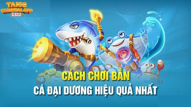 Bí kíp săn cá hiệu quả dành cho những anh em cược thủ 